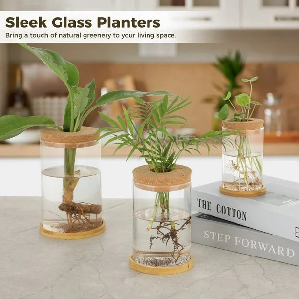 Florero para plantas hidropónicas